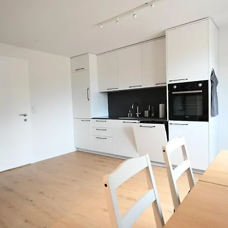 Appartement Sunny Renovated Alpine By Interlaken