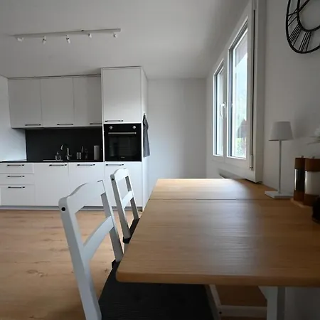 Sunny Renovated Alpine By Interlaken *