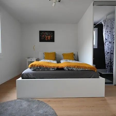 Sunny Renovated Alpine By Interlaken Apartament