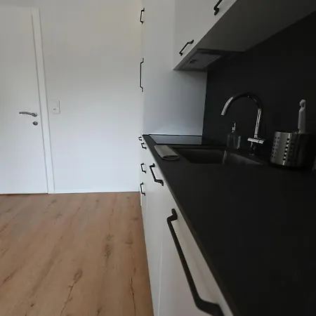 Apartament Sunny Renovated Alpine By Interlaken Frutigen