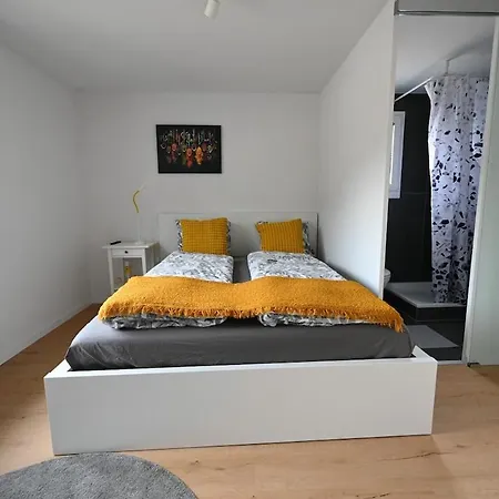 Sunny Renovated Alpine By Interlaken Apartament