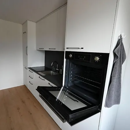 Apartament Sunny Renovated Alpine By Interlaken Frutigen