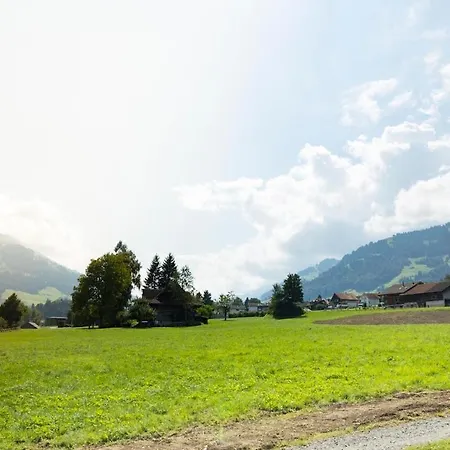 Sunny Renovated Alpine By Interlaken *