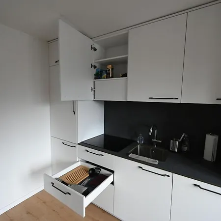 Apartament Sunny Renovated Alpine By Interlaken Frutigen