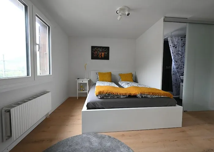 Sunny Renovated Alpine By Interlaken * Frutigen