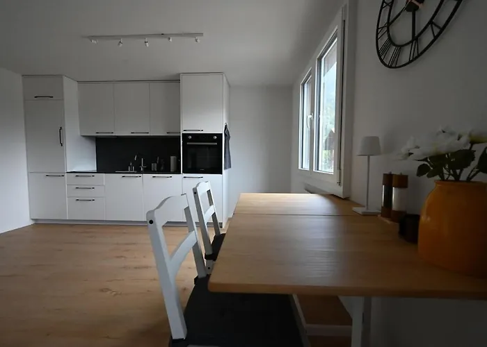 Sunny Renovated Alpine By Interlaken