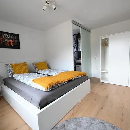 Sunny Renovated Alpine By Interlaken Frutigen