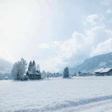 Sunny Renovated Alpine By Interlaken *