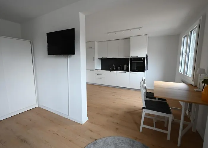 Sunny Renovated Alpine By Interlaken Frutigen