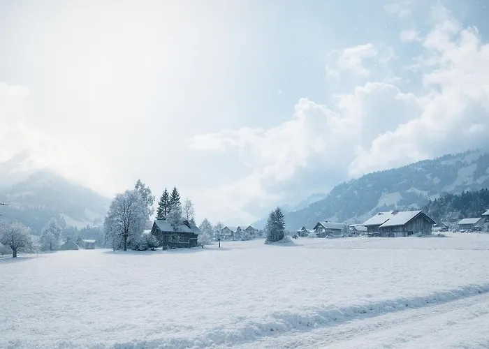 Sunny Renovated Alpine By Interlaken *