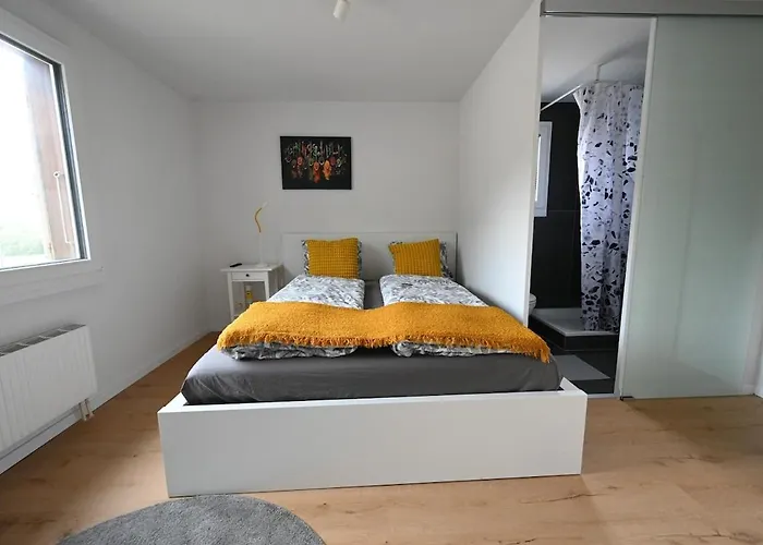 Sunny Renovated Alpine By Interlaken Lejlighed